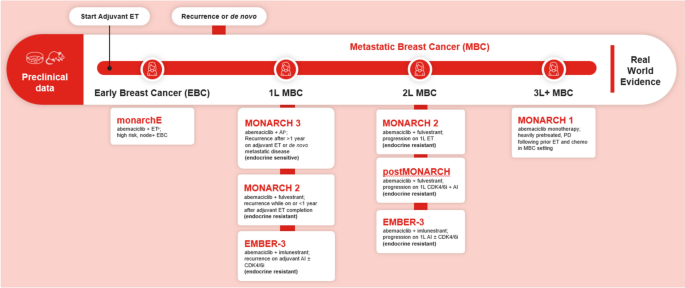 Abemaciclib in HR+, HER2− Breast Cancer: A Narrative Review of the Clinical Evidence