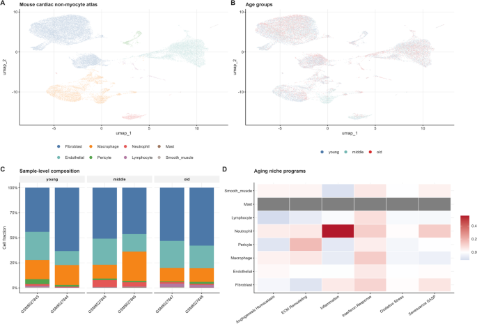 Cross-species functional transcriptomic analysis distinguishes conserved aging-niche remodeling from inflammatory fibroblast heterogeneity in cardiac aging and heart failure