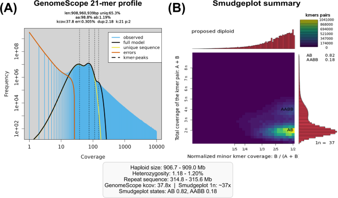Dual-reference projection defines a callable core and reference-sensitive shell in a Qiantang River  draft assembly
