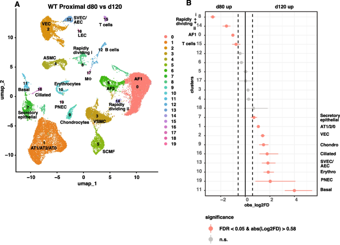 Developmental dynamics of ovine lung in health and cystic fibrosis at single-cell resolution