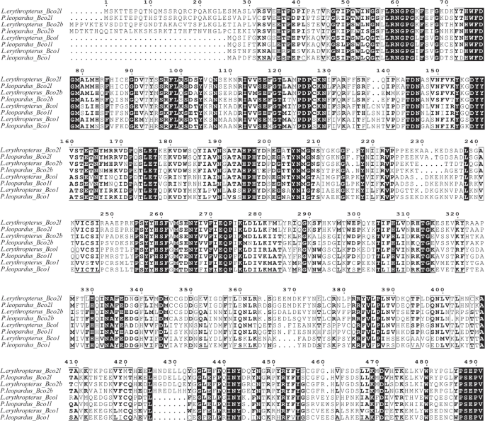 Identification of the BCO gene family and its effect on body coloration in