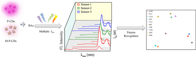 Multidimensional fluorescent array-sensing of biogenic amines based on porphyrin-functionalized carbon dots