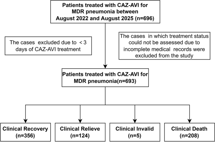 Real-World Effectiveness of Ceftazidime–Avibactam for Multidrug-Resistant Gram-Negative Pneumonia, Time-Stratified Risk Factors for Short- and Long-Term Mortality, and Inpatient Costs: A Multicenter Retrospective Cohort Study