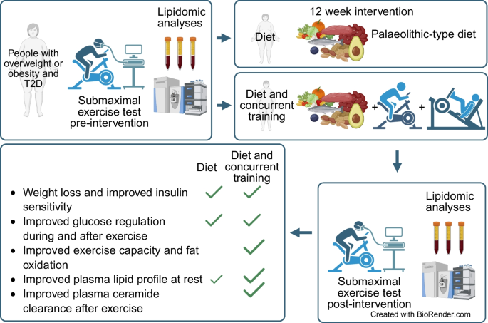 Concurrent training is associated with enhanced post-exercise ceramide clearance and fat oxidation capacity in individuals with type 2 diabetes following lifestyle intervention