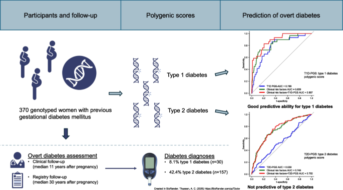 Predicting future risk of type 1 and type 2 diabetes after gestational diabetes mellitus using polygenic scores: a cohort study