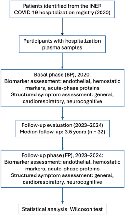 Long-term angiogenic and thromboinflammatory signatures in post-COVID-19 syndrome