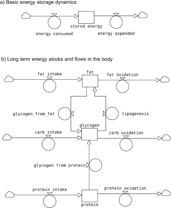 Modeling the dynamics of human starvation: incorporating lessons from famines past and present