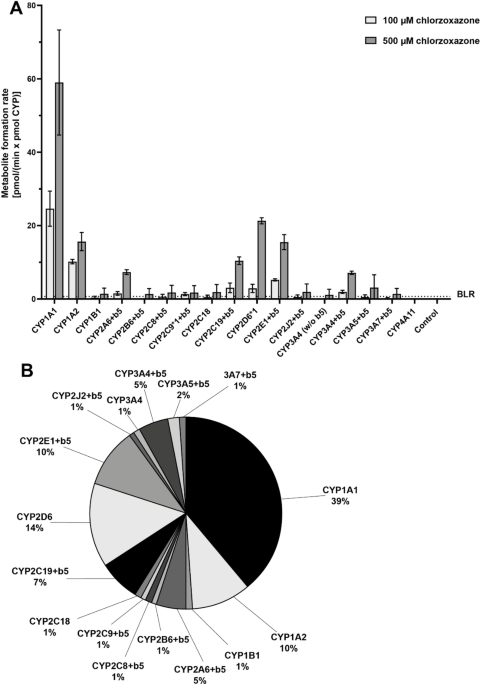 Challenging the specificity of chlorzoxazone and 4-nitrophenol as marker substrates for CYP2E1 activity in Supersomes™
