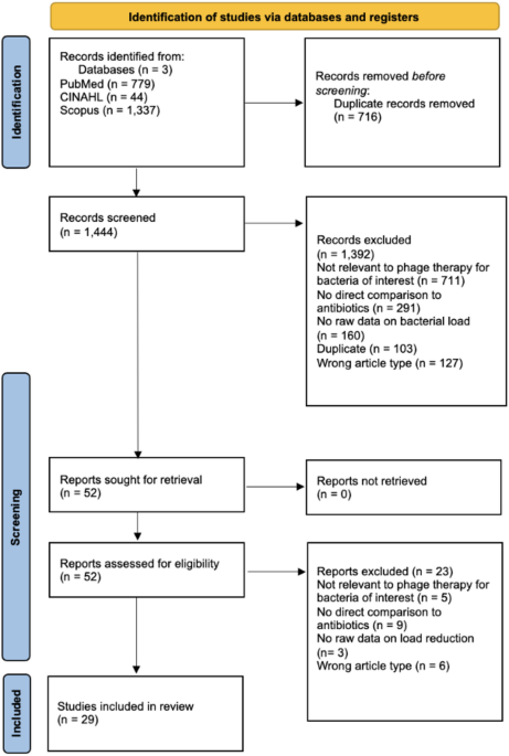 Bacteriophage therapy and antimicrobial resistance: a scoping review using the “One Health” framework