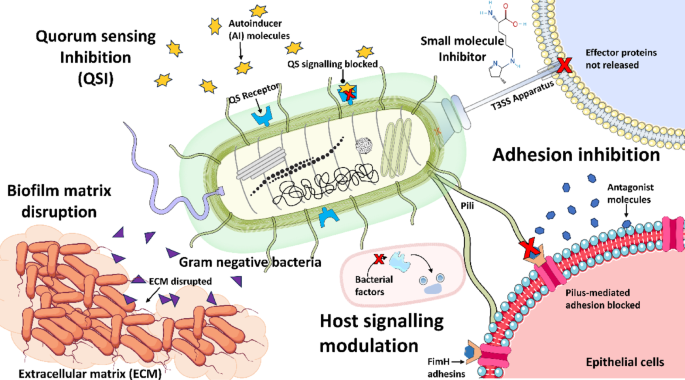 Mechanistic and molecular insights into emerging anti-virulence therapeutics