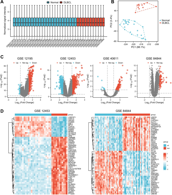 MICA gene modulates immune microenvironment and comorbid mechanisms in diffuse large B-cell lymphoma and primary Sjögren’s syndrome