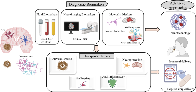 Emerging diagnostic biomarkers and therapeutic targets in Alzheimer's disease