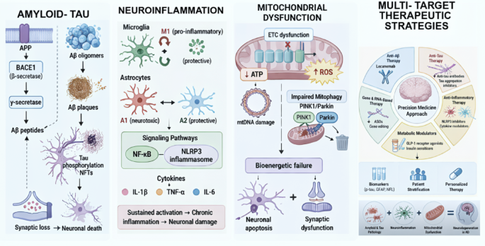 Neuroinflammatory and molecular pathways in Alzheimer’s disease: mechanistic crosstalk and emerging therapeutic opportunities