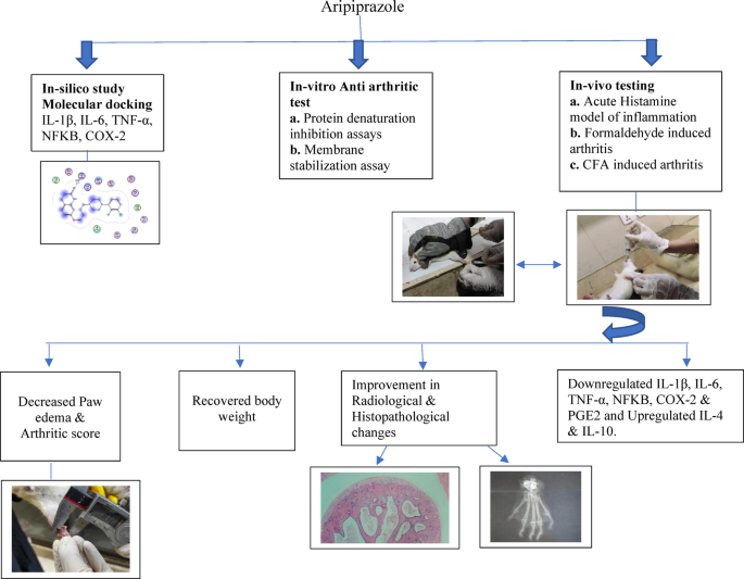 Evaluation of anti-arthritic activity of aripiprazole through multi models: new potential of an old drug