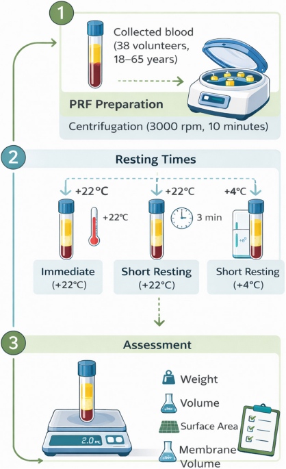 Macroscopic handling stability of platelet-rich fibrin under short-term temperature variations: a prospective experimental study