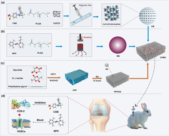 A microenvironment-responsive microsphere–PLGA-PEG-PLGA hydrogel for sustained and coordinated co-delivery of celecoxib and ropivacaine in osteoarthritis therapy