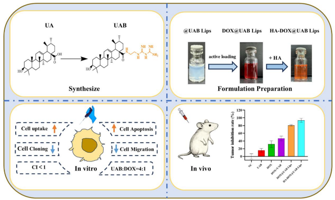 Biguanide‑modified ursolic acid as a multifunctional lipid‑mimetic carrier of DOX liposome for synergistic chemotherapy