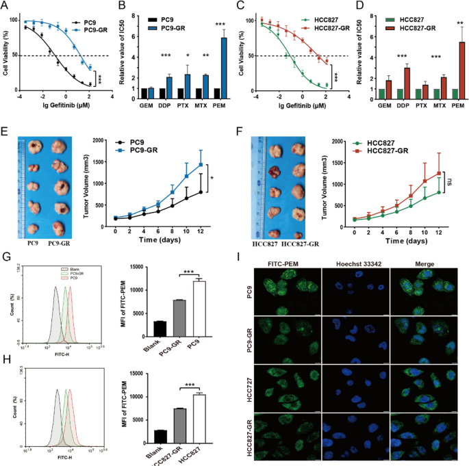 Milk derived exosomes sensitize Gefitinib-resistant lung cancer cells to Pemetrexed via CAV1-mediated endocytosis