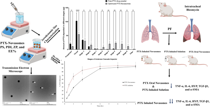 Repositioning pentoxifylline via inhalable novasomes for pulmonary fibrosis: from statistical optimization to in-vivo evaluation