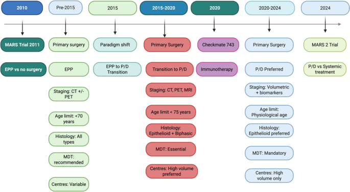 A Decade of Progress: Evolving Surgical Strategies for the Treatment of Pleural Mesothelioma