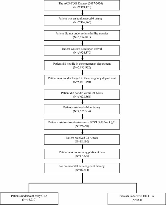 Early vs. late computed tomography angiography in blunt cerebrovascular injuries: a national analysis of clinical outcomes across injury grade and location