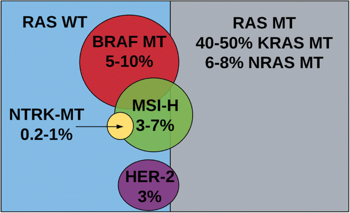 Precision Medicine for the Treatment of Colorectal Cancer: the Evolution and Status of Molecular Profiling and Biomarkers