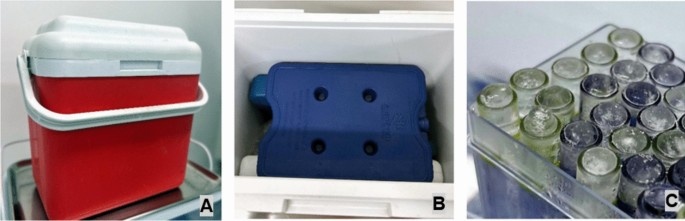Effect of cryoanaesthesia on pain during intraoral anaesthetic puncture in children: a randomised controlled non-inferiority trial