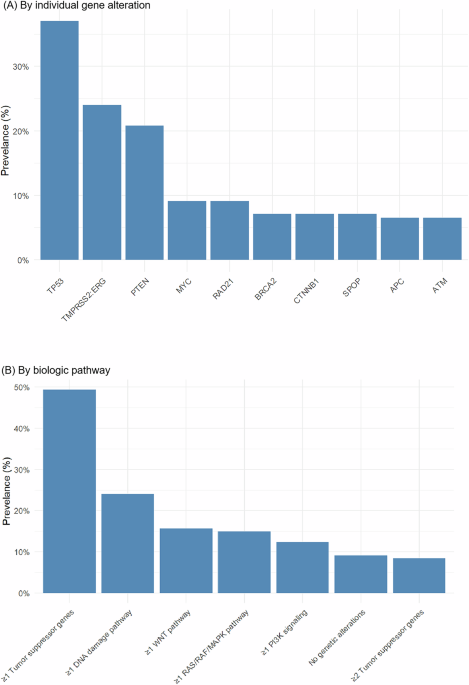 Clinical and genomic determinants of extraordinary response and resistance to androgen receptor pathway inhibitors in men with metastatic androgen pathway modulator sensitive (APMS) prostate cancer