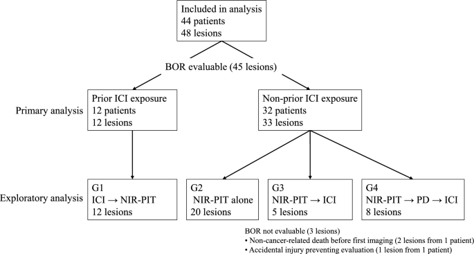 Clinical outcomes of near-infrared photoimmunotherapy according to immune checkpoint inhibitor timing and treatment sequence: a multicenter retrospective study