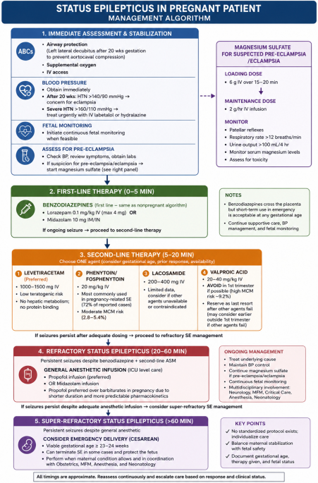 Approach to Seizure Activity in the Pregnant Patient