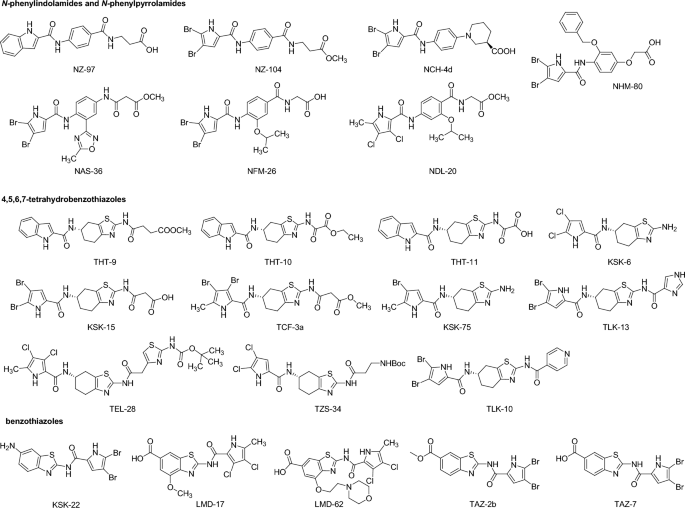 Retention behavior and QSRR modeling of dual DNA gyrase and topoisomerase IV inhibitors in reversed-phase thin-layer chromatography