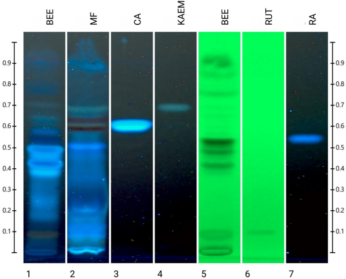 Development and validation of an analytical method for the simultaneous estimation of rutin, rosmarinic acid, caffeic acid, and kaempferol in Indian coconut bee pollen using thin-layer chromatography–densitometric technique