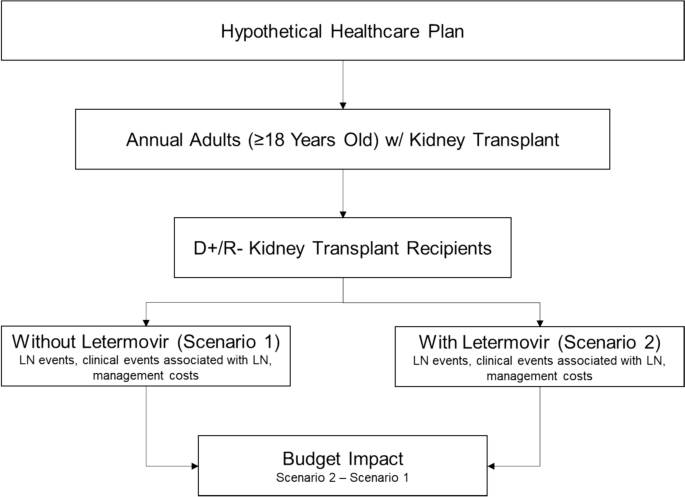 Budget Impact of Prophylactic Letermovir to Prevent Cytomegalovirus Disease in High-Risk Adult Kidney Transplant Recipients