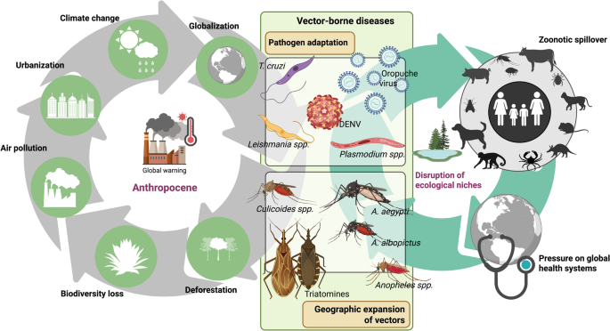 Vector-Borne Disease Control in the Anthropocene: Integrating Biotechnology, Genomic Surveillance, and Environmental Management