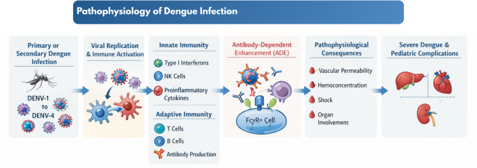 Nutritional Influences on Pediatric Dengue Outcomes