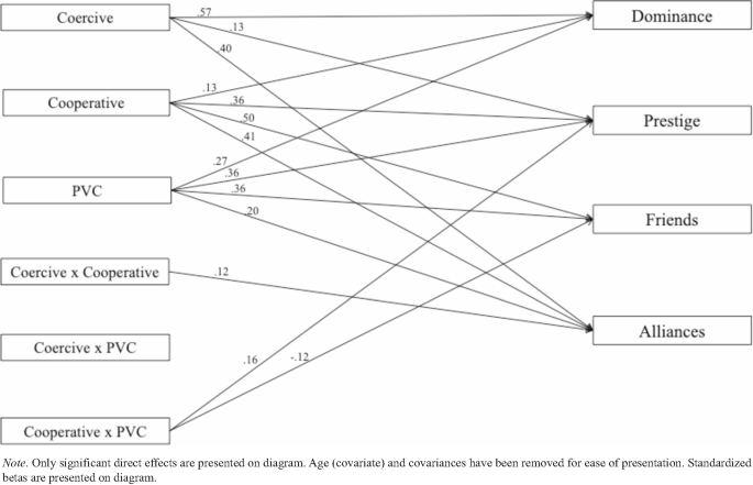 Enhancing and Holding Social Power in Adolescence: An Evolutionary Perspective
