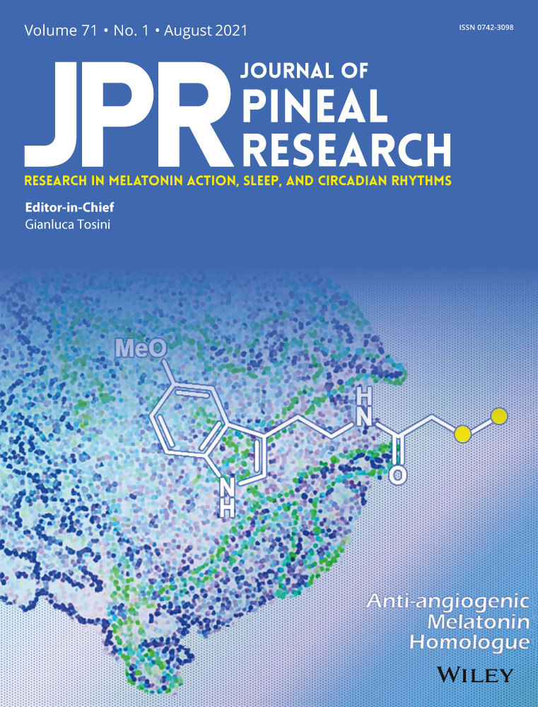 Treatment of isolated REM‐sleep behavior disorder using melatonin as a chronobiotic