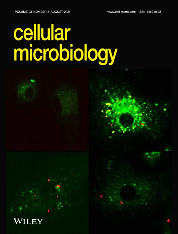 Feminising Wolbachia disrupt Armadillidium vulgare Insulin‐like signalling pathway