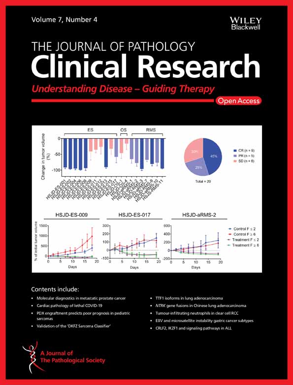 PRR11 unveiled as a top candidate biomarker within the RBM3‐regulated transcriptome in pancreatic cancer