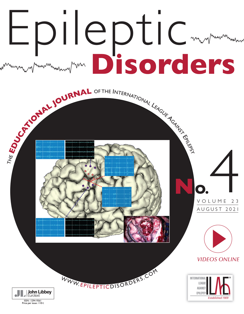 In the pursuit of the epileptogenic zone – listen carefully and look deeply