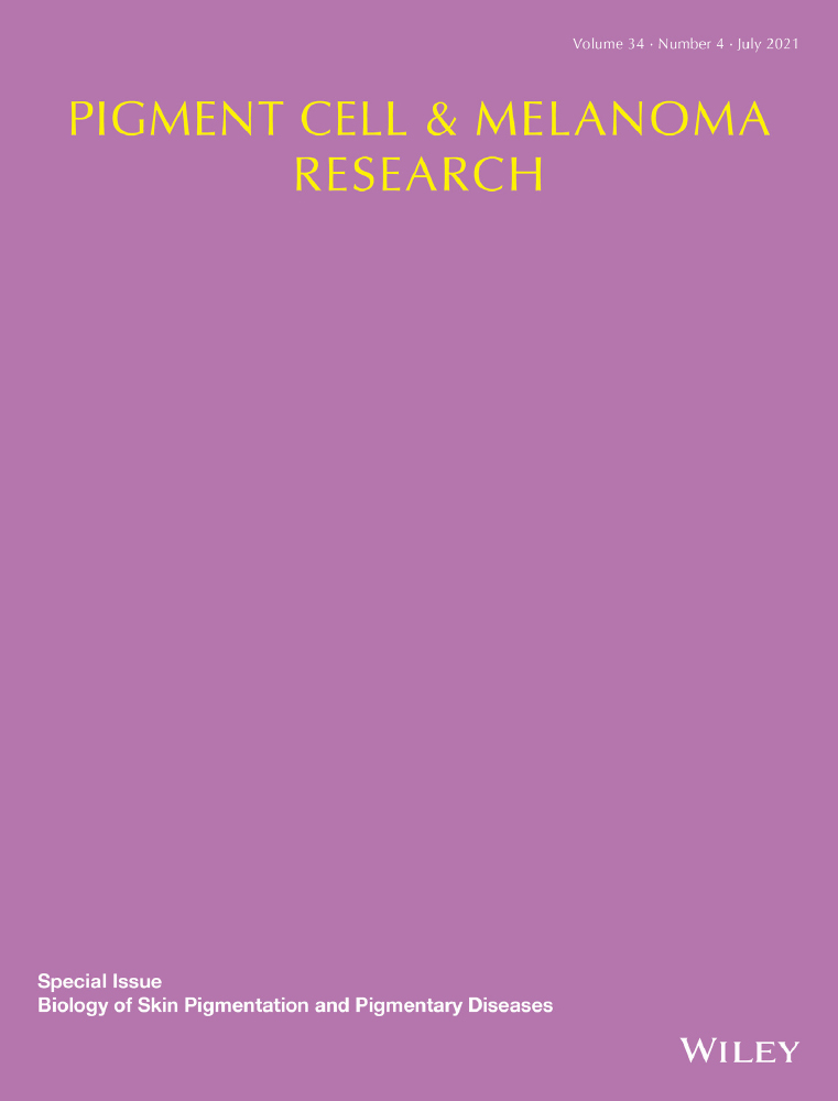 Phenotypic plasticity of melanocytes derived from human adult skin