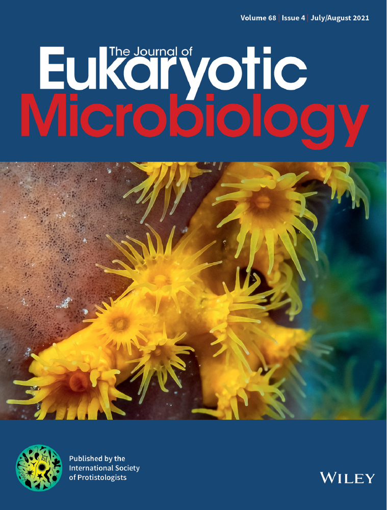 Cell Wall Proteomic Analysis of the Cnidarian Photosymbionts Breviolum minutum and Cladocopium goreaui