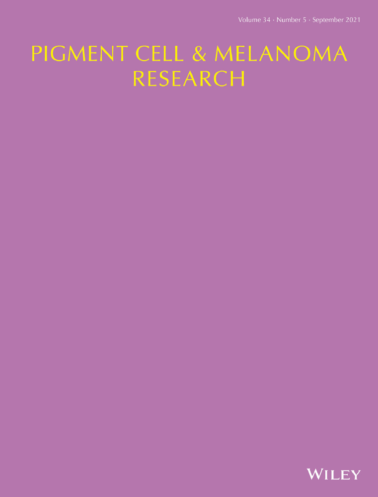 Immune‐modulatory effects of lenalidomide inhibited the progression of lesions in a vitiligo mouse model