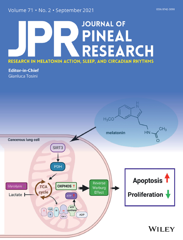 Melatonin reduces proliferation and promotes apoptosis of bladder cancer cells by suppressing O‐GlcNAcylation of CDK5