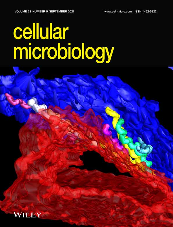 Egress of archaeal viruses