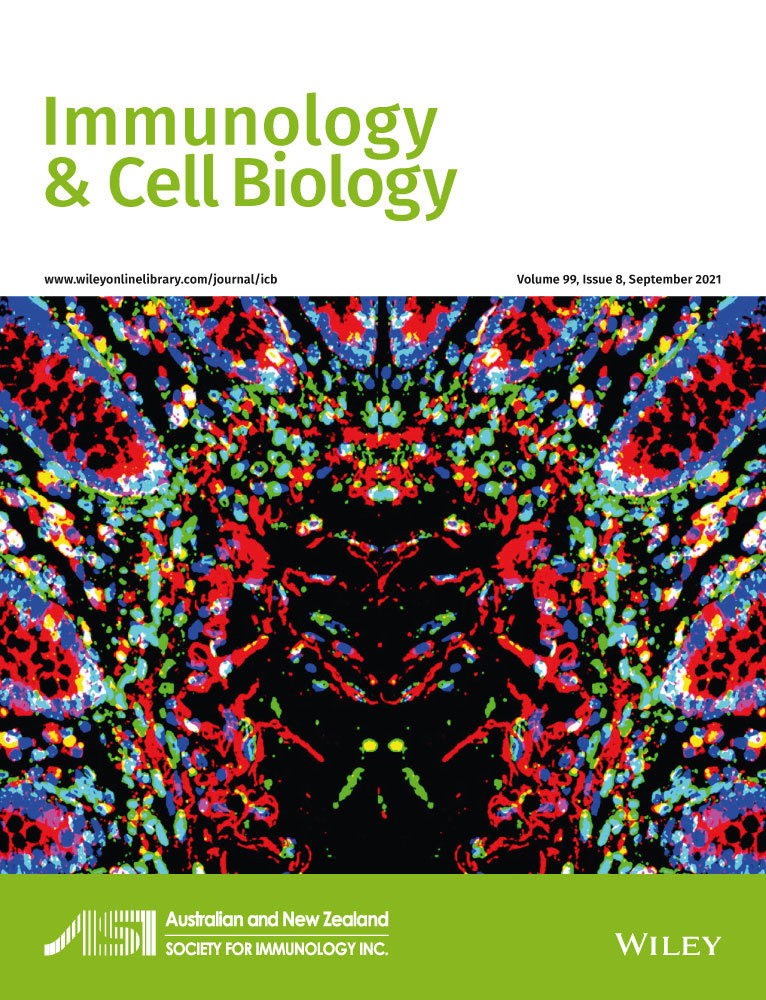 Rab6b localizes to the Golgi complex in murine macrophages and promotes TNF release in response to mycobacterial infection