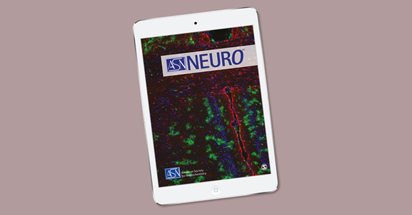 Astrocytic Hydrogen Sulfide Regulates Supraoptic Cellular Activity in the Adaptive Response of Lactating Rats to Chronic Social Stress