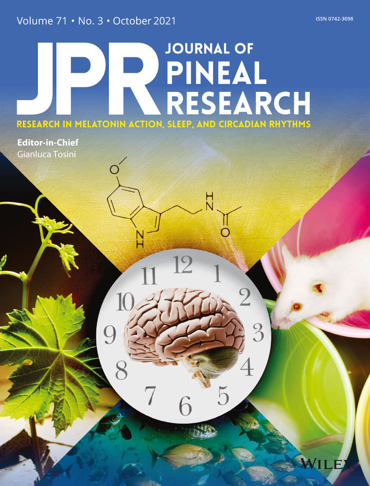 Melatonin ameliorates cognitive deficits through improving mitophagy in a mouse model of Alzheimer’s disease