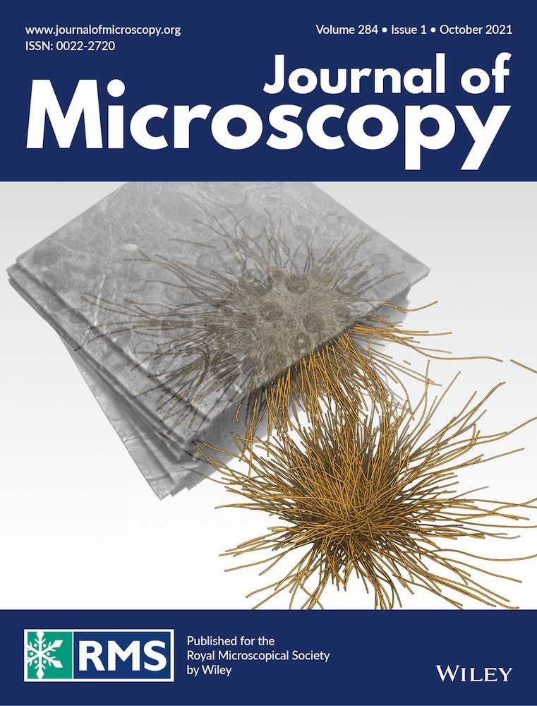 Adsorption of PCE in alkali‐activated materials analysed by fluorescence microscopy