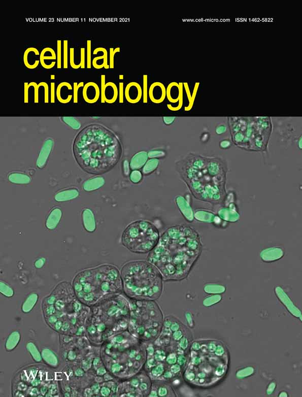 Entry of the varicellovirus Canid herpesvirus 1 into Madin‐Darby canine kidney epithelial cells is pH‐independent and occurs via a macropinocytosis‐like mechanism but without increase in fluid uptake